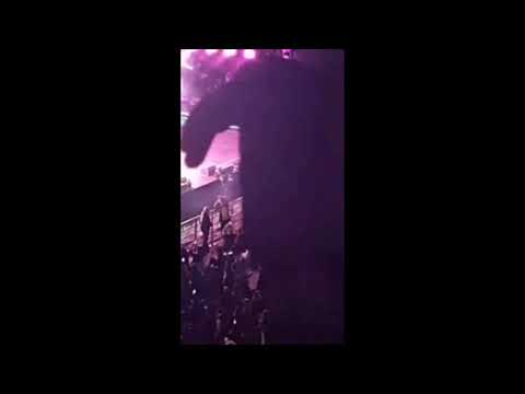 Bad Gyal, Rauw Alejandro - Zorra (Remix) LIVE ZARAGOZA