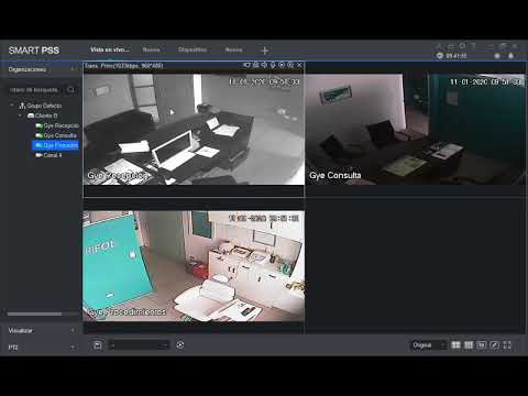 Smart PSS, descarga, dispositivo, vista