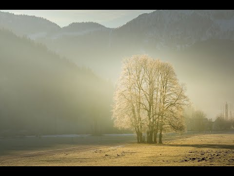 18 : Smokey (Part 2) -  Bill Black's Combo