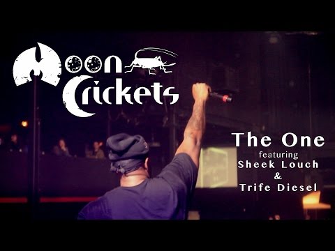 MOON CRICKETS - THE ONE (prod. by DJ Mercilless)