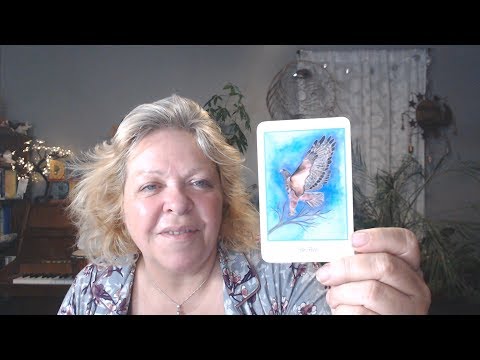 Your Daily Focus for October 7, 2019 - Tarot - Astrology - Numerology