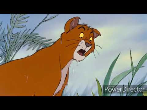 All-Star Story Part 4: Bernard, the Space Ranger