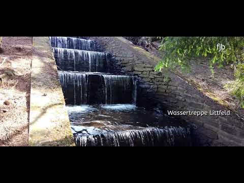 Vom Altenberg zum Kindelsberg mit Wassertreppe - Wandern im Rothaargebirge