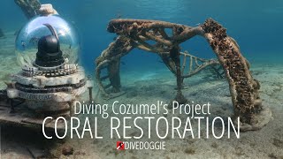 Cozumel Coral Restoration Art