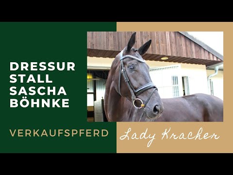 Lady Kracher v Londontime - Soliman de Hus - Weltmeyer