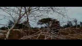 Download lagu Pesan Seribu Danau - Lagu  Belitong mp3