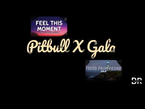 Pitbull X Gala (DR_Musik)