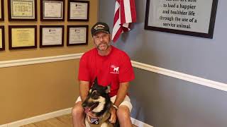 Donate to American Service Animal Society | Service Dogs for Veterans