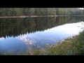 Words - don't come easy to me (FR David cover ...