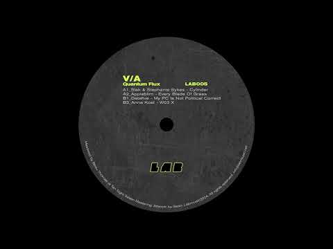 Datafive - My PC Is Not Political Correct [LAB005]