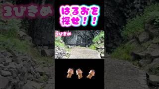【豊岡市編】はるおを探せ！！答え合わせ