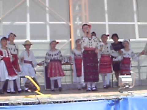 Ansamblul Doina Mischiului