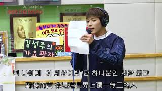 [繁中韓文雙字幕無雜音]DK 小王子/ 세븐틴 도겸 '어린왕자' 라이브