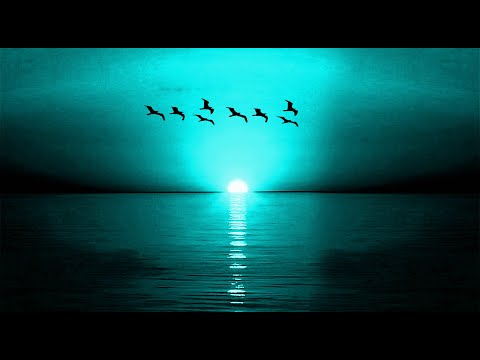 INSTRUMENTAL, ÉPOCA DE ORO VOL 6 -  AUDIO