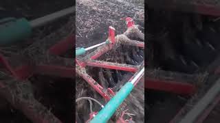Agro-Masz Дискова борона 6 м BT60H disk harrow for sale - Image 15 | Agronetto IN New Agro-Masz Дискова борона 6 м BT60H disk harrow | Image 15 - Agronetto