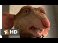 The Tale Of Despereaux 2008 Apology Gone Bad Scene 5 10 Movieclips