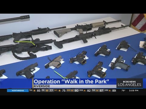 Operation "Walk in the Park" results in 17 street-gang arrests, seizure of over 50 firearms