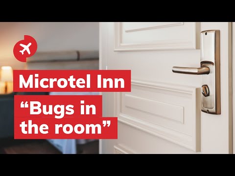 Microtel Inn - Speak to corporate office - Image 4
