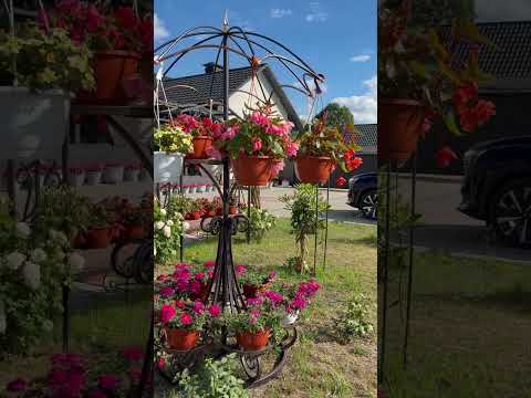 фото цветочница 0