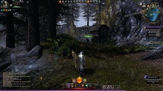 Neverwinter - Drowned Shore, Merchants in Distress (Heroic Encounter, level 60+)