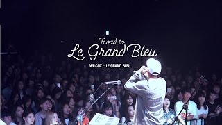 [윌콕스 1st concert, Le Grand Bleu] 윌콕스(Wilcox) - Le Grand Bleu
