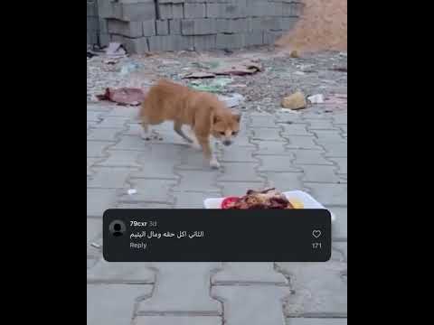 اشترك بالقناه وانطيك ورده😂🌷 #متابعه_ولايك_فضلا_وليس_امرآ