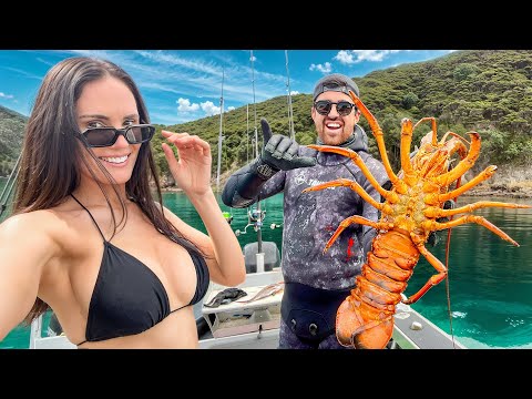 Diving for Big Crayfish in Tropical Bays - New Zealand Lifestyle Adventure 
