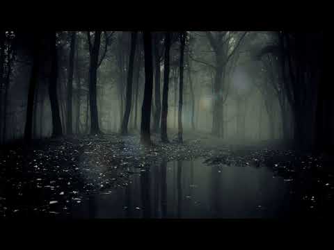 ThE RELAXING SOUNDS VOL.5