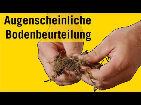 Bodenanalyse - Die augenscheinliche Bodenbeurteilung von bindigen und nicht bindigen Böden.