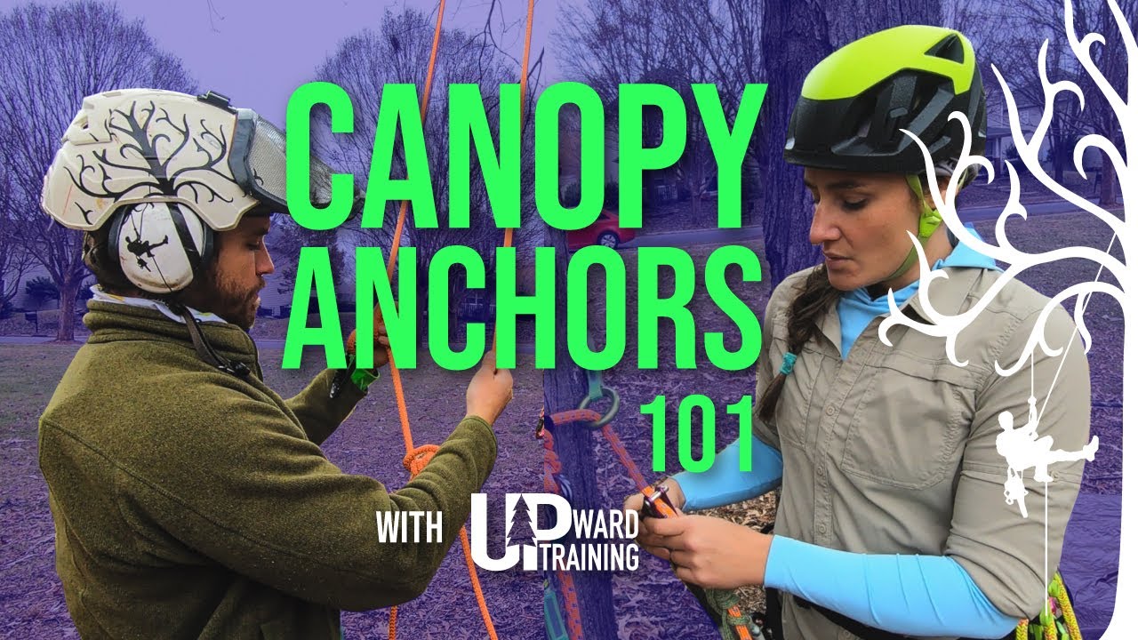 Intro to Canopy Anchors | Professional Tree Climbing 101 with Meg from Upward Training