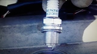 Denso or NGK Spark Plugs Toyota