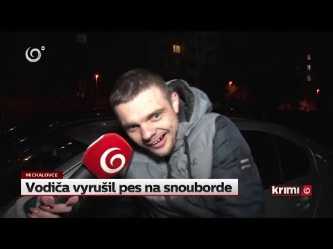 Vodiča vyrušil pes na snouborde (NOVINY TV JOJ)