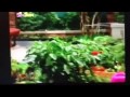 Closing Program How Does Your Garden Grow
