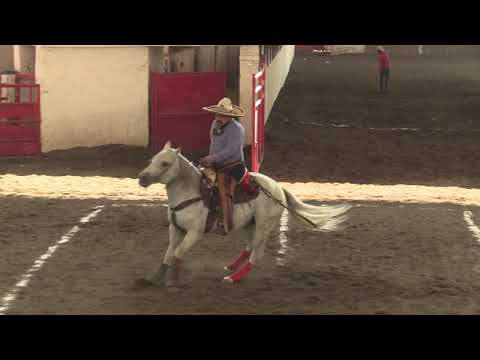 Cala Equipo Maquina 501