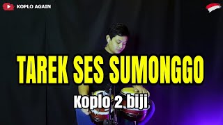 Download lagu TARIK SIS SEMONGKO ! BINTANG KECIL KOPLO JAP (GAYO MUGAGAK) mp3