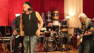 Beautiful Delilah - Honolulu Dogs