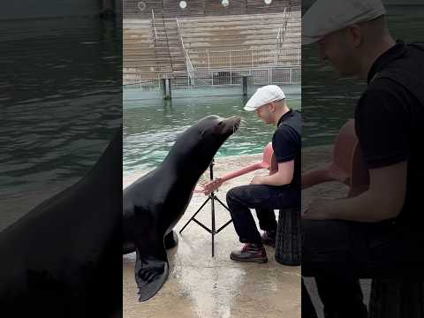 His Little kiss at the end 🥹❤️‍🩹