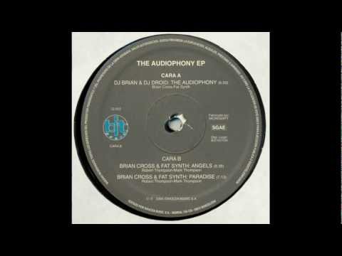 Brian Cross & Fat Synth - Paradise