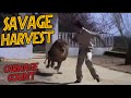 Savage Harvest 1981 Carnage Count