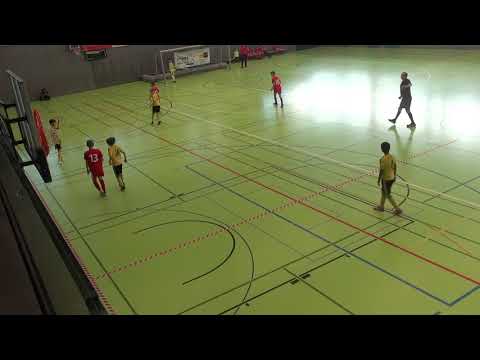 BSC Old Boys Basel FE12 - Team Visp/Leuk Region FE12 24.02.2018