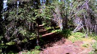 preview picture of video 'End of Lake Louise Rd. Trail 3'