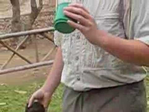 Mike Collins Drinks Water from Rhino Dung
