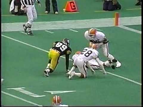 1/7/1995   Cleveland Browns  at  Pittsburgh Steelers   AFC Divisional Playoff