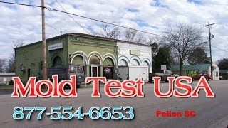 preview picture of video 'Mold Test USA Pelion SC - Mold Testing and Inspections'