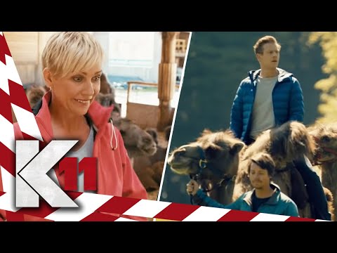 Bizarrer Fall: Kamel spürt toten Mann im Wald auf!! | 1/2 | K11 - Die neuen Fälle | Sat.1