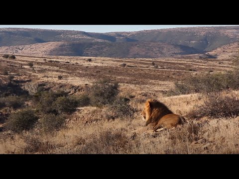 Magic Hills Corridor Conservation