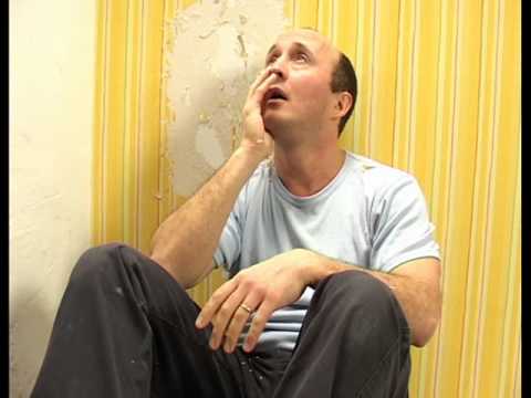 Puiu Chibici - N'am pe nimenea sub cer (2011)