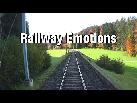 🚆 Mit dem Zug vom Nebel in die Sonne im Zürcher Oberland (Führerstandsmitfahrt | Winterthur - Rüti)