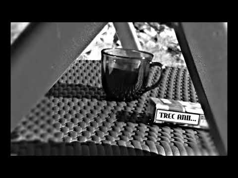 Razvan Dlb - Trec anii (Audio)