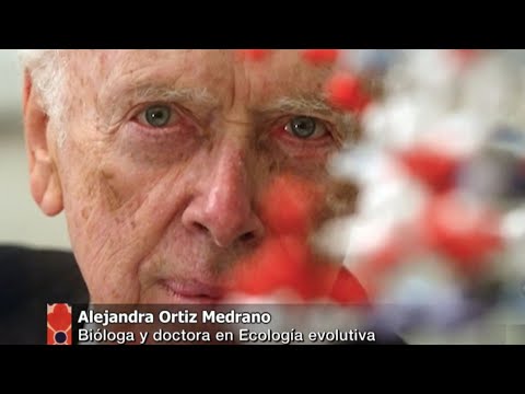 El Padre de la Genética (Gregorio Mendel 1821​-1884)